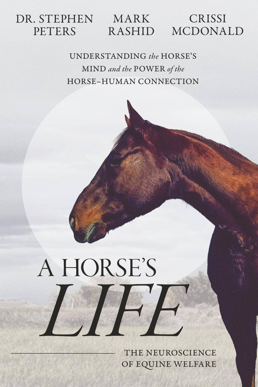 A Horse's Life: The Neuroscience of Equine Welfare      Paperback – April 13, 2026