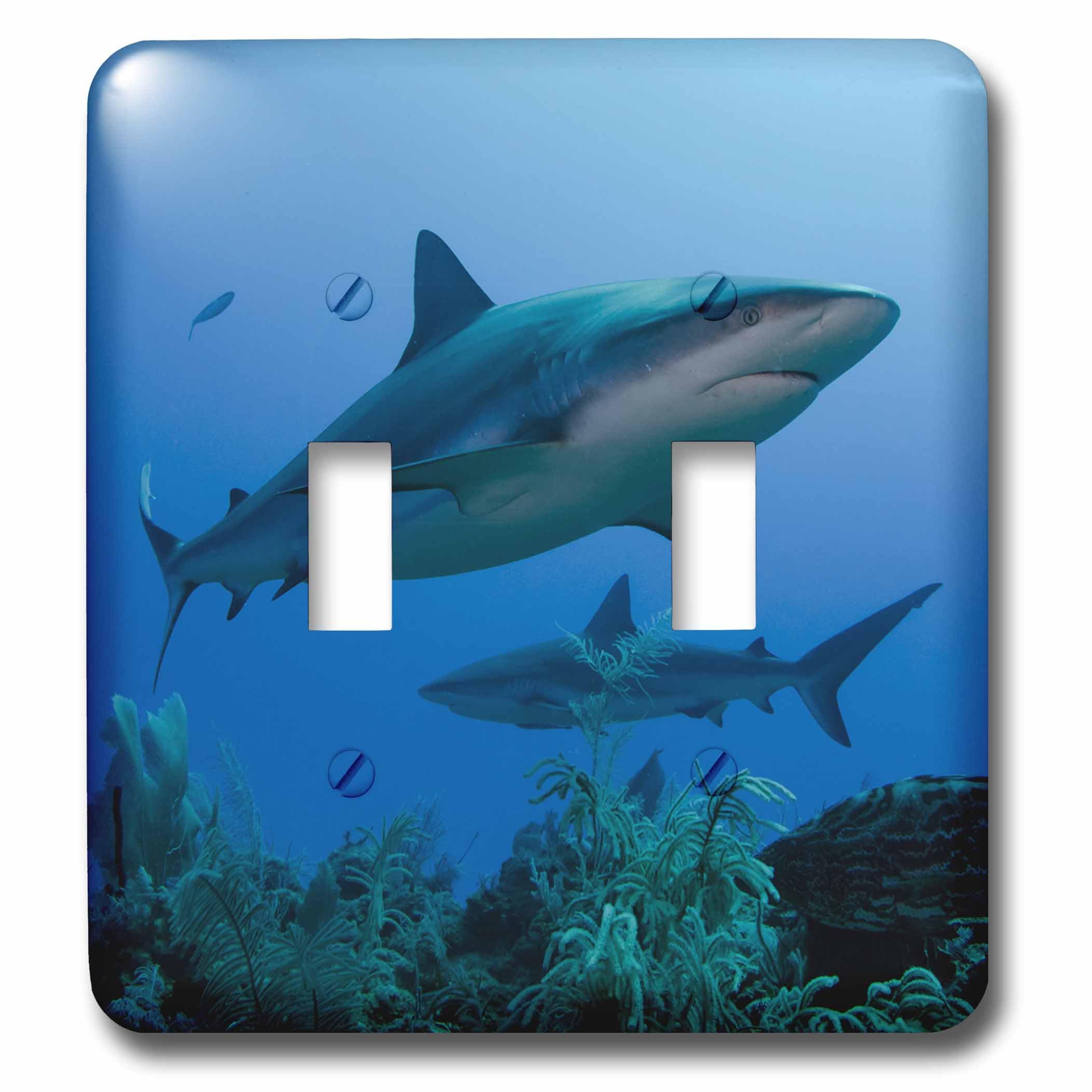 Interrupteur requin des Caraïbes Carcharhinus Perezi pour une chambre d'enfant sur le thème océan
