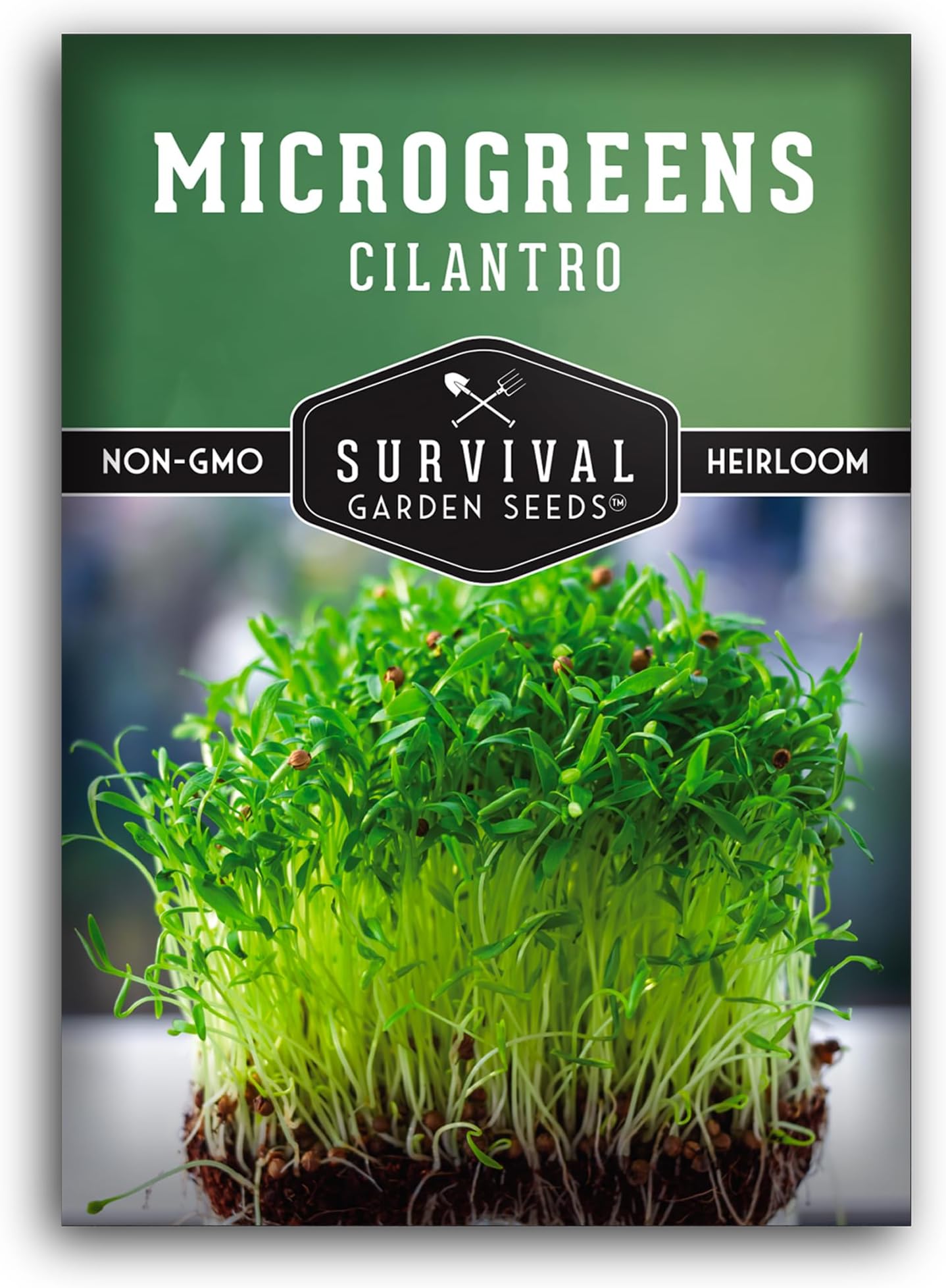 Cilantro Microgreen Seeds for Planting – Non-GMO Heirloom Cilantro Seeds to Grow Fresh, Flavorful Microgreens – Indoors or Hydroponic – Fast Germination – Survival Garden Seeds (1 Pack)