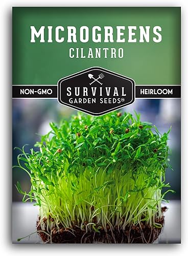 1 paquete de semillas de microgreens de cilantro para brotar y cultivar, brota plantas de microhierbas de hojas verdes en interiores, cultiva un