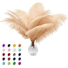 Piokio 20pcs Natural Champagne Ostrich Feathers 10-12 inch 25-30cm Bulk Feathers for Wedding Party Centerpieces, Home Decoration and DIY Clothing, Gatsby Decorations