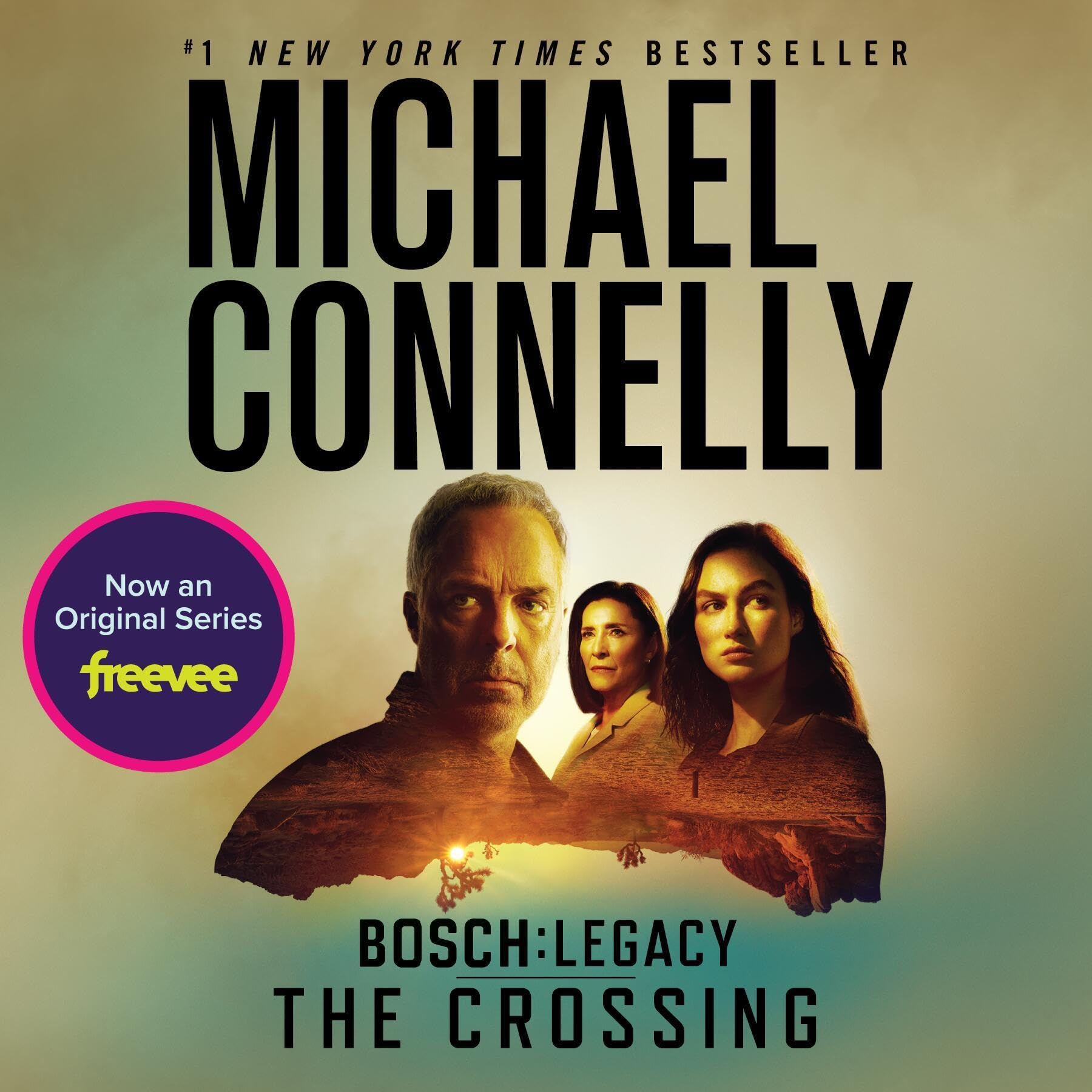 Cover art for The Crossing