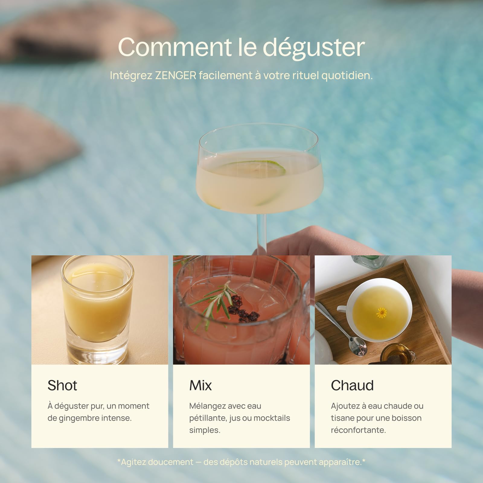 ZENGER – Élixir de Gingembre Bio Premium 700 ml Concentré de Gingembre Naturel | Sans Alcool | Pour Rituels de Thé, Mocktails & Bien-être Quotidien (Vital Spark BIUM)