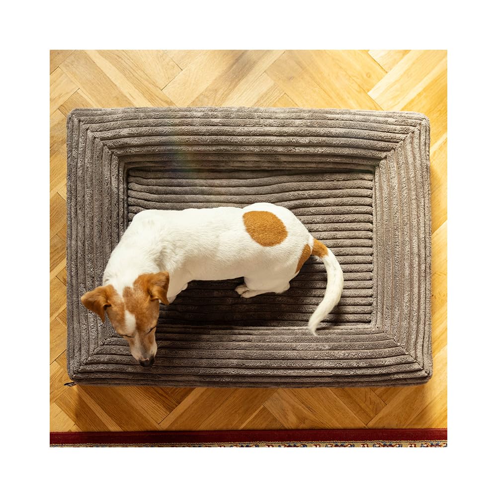 Orthopädisches Hundebett Cloud – Komfortable Hundematte mit Memory-Schaum, Abnehmbarer Bezug & Rutschfester Unterseite – 4 Größen (XS–L) & 4 Farben (S 80x60 Dusty Pink)