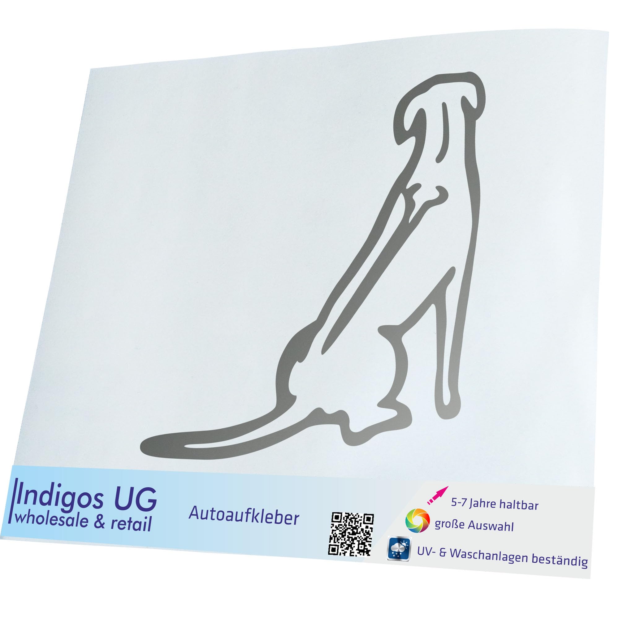 10 adesivi per auto Rhodesian Ridgeback 9 x 9 cm adesivi per cani