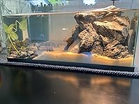 Review Image by SJ SJ