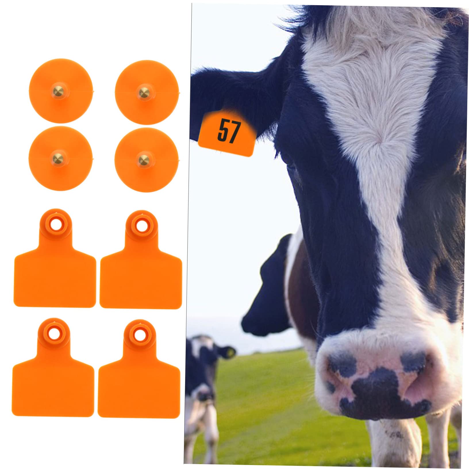 Kisangel 100piezas Etiqueta De Oreja De Cerdo Crotales Para Caballos y Ovejas Suministros Prácticos Para Ganado Uso Pastos De Animales