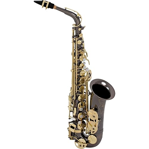 Selmer La Voix ll Alto Saxophone Outfit-Black