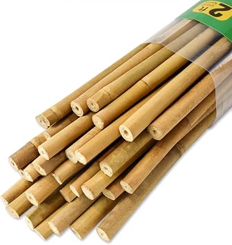 Jollybower 30pcs 3/10" D Thicker Heavy Duty Bamboo Stakes, 2FT Plant Stakes, Natural Garden Stakes for Tomato, Bean, Flowers,Trees Potted and Climbing Plant Support