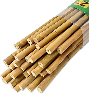 Jollybower 30pcs Bamboo Stakes 60cm,Plant Stake, Natural Garden Stakes for Tomato, Bean, Flowers,Trees Potted and Climbing...