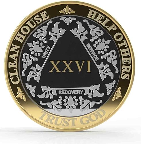 Miniatura 54 de Medallón anónimo de Alcohólicos Anónimos de Plata y Oro 1-60 años (20 años (XX)) Cápsula de Moneda AA Incluida