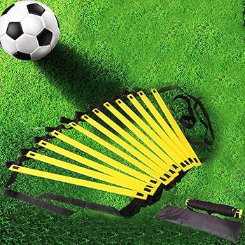 ラダートレー　21日終了 ラダートレー 21日終了 c0c3196f29e69b242bbc152e1efcc8