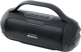 ZEBRONICS Sound Feast 40 Portable Bluetooth Speaker, 8 Watts, Dual 5.2cm Drivers, Passive Radiator, Upto 16 Hours Playback, BTv5.3 USB mSD TWS, Call Function, Deep (Black), Model : Zeb-PSPK 48