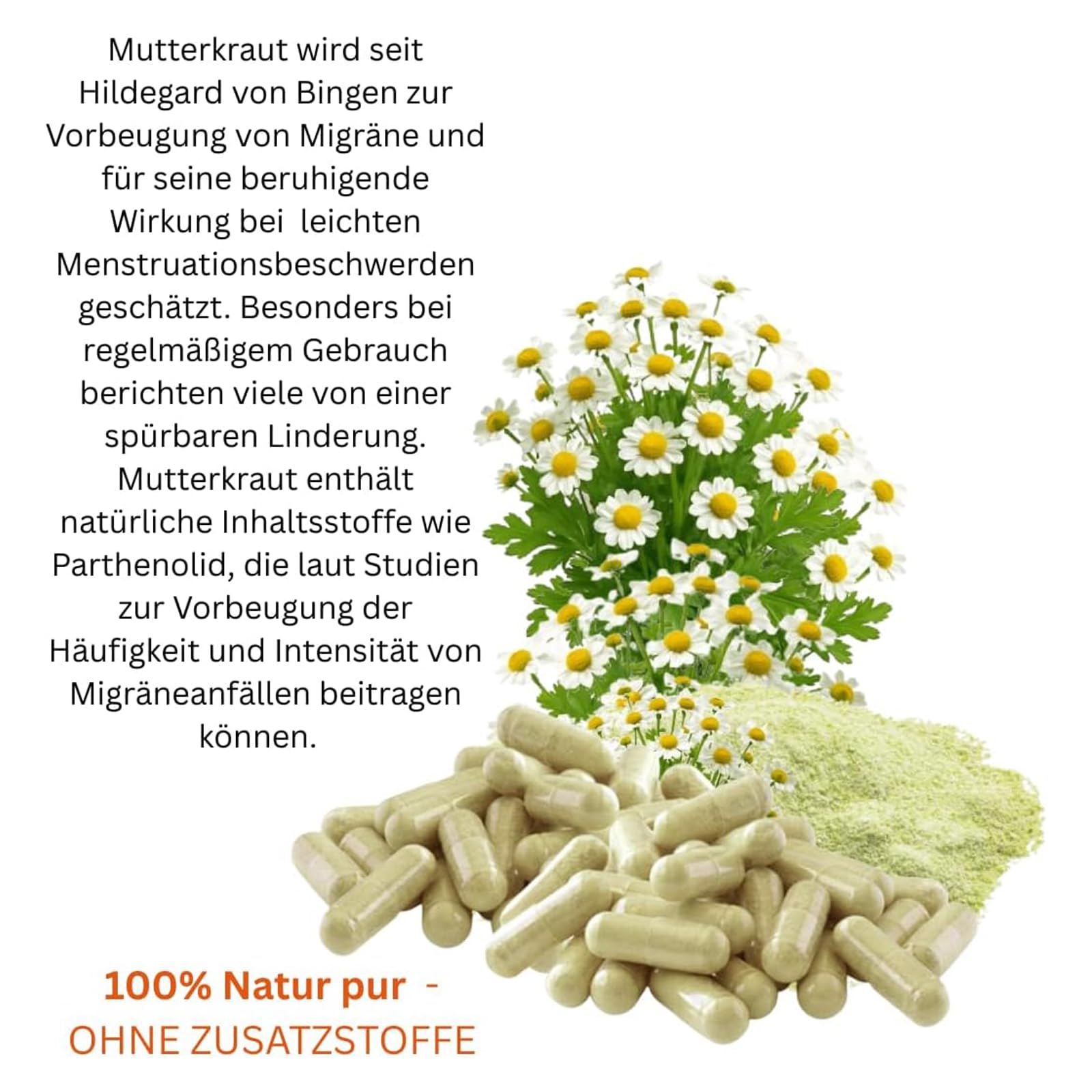 MUTTERKRAUT 360 Kapseln Migränekraut nach HILDEGARD VON BINGEN Feverfew "Kopfgewitter" - NATURDOSIERT = 100% NATUR pur. OHNE ZUSATZSTOFFE. 26308-360