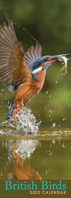 2023 British Birds Slim Wall Calendar with Stunning Photography. Nature, Animals, Britain, No Plastic. Daily, Weekly, Monthly 12 Month Planner Organiser Calendar