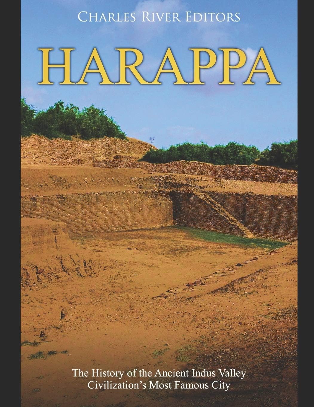 Harappa: The History of the Ancient Indus Valley Civilization’s Most Famous City