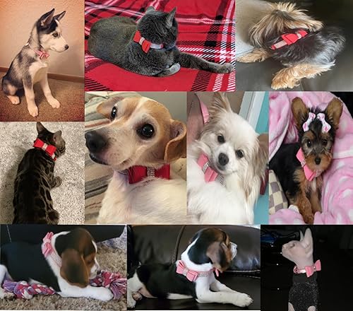 Miniatura 7 de Collar de perro para perros pequeños, paquete de 2 collares ajustables de cuero para perro, collar de gato con diamantes de imitación (S, negro y