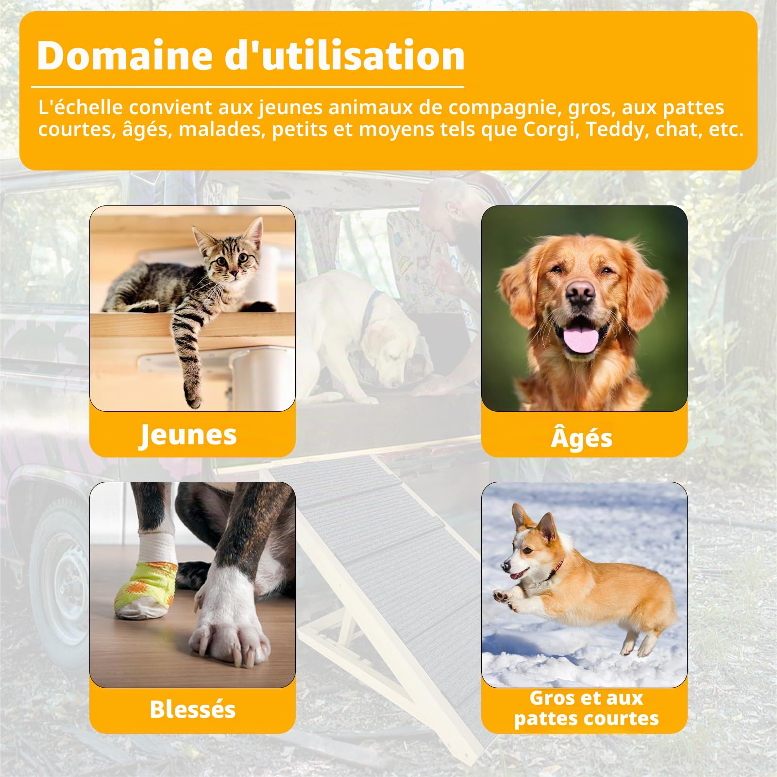 LZQ Escalier pour chien - Pliable - Pour petits chiens et chats - Portable - Réglable en hauteur - En bois - Avec tapis antidérapant - Pour lit, canapé, 100 cm de long