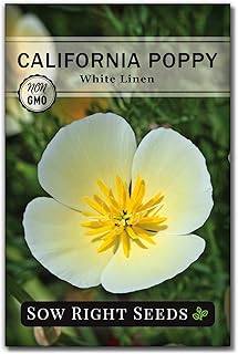 Sow Right Seeds - White Linen California Poppy Seeds to Plant - Full Instructions for Planting and Growing a Beautiful Flo...