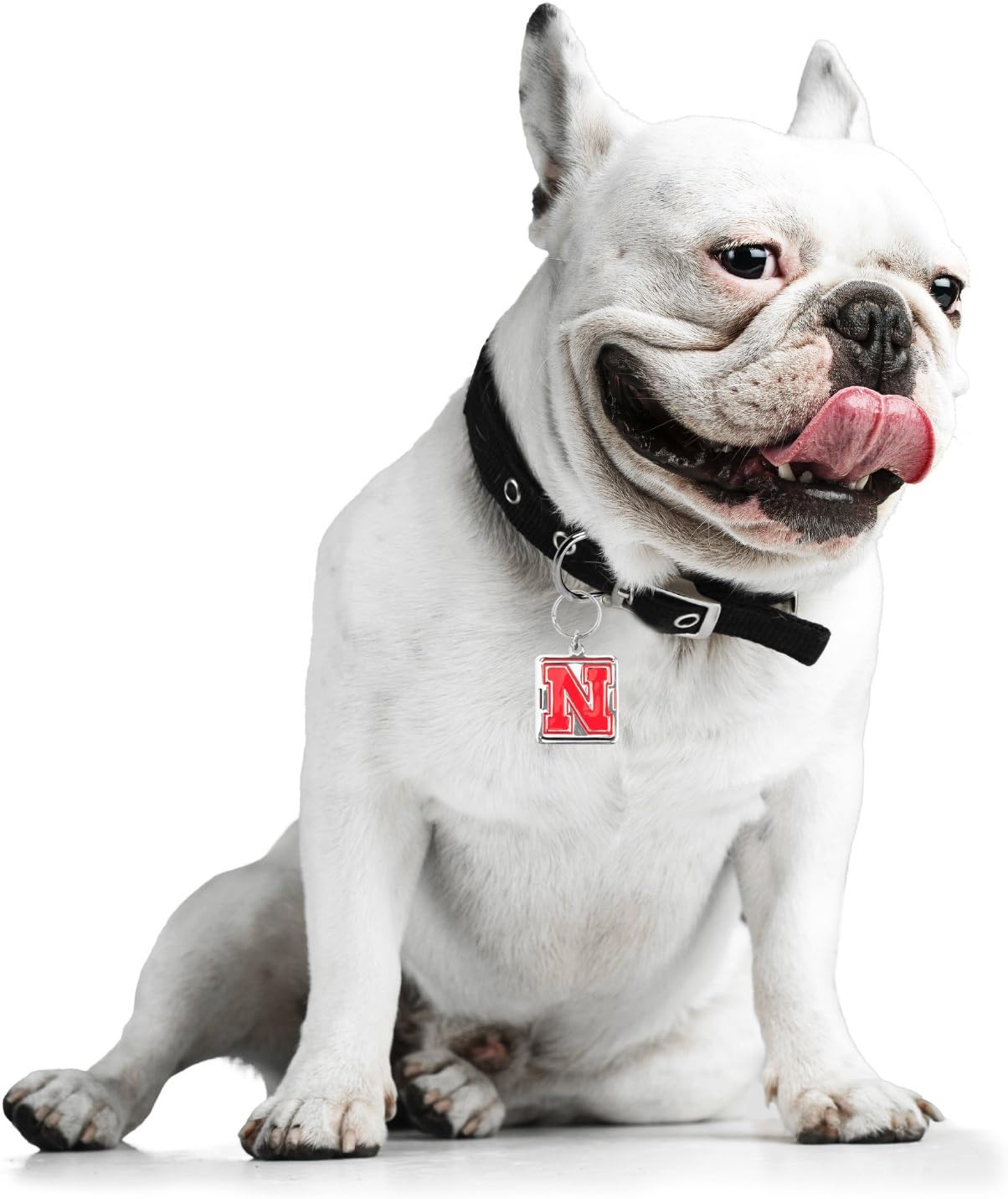 NCAA Pet Collar Charm
