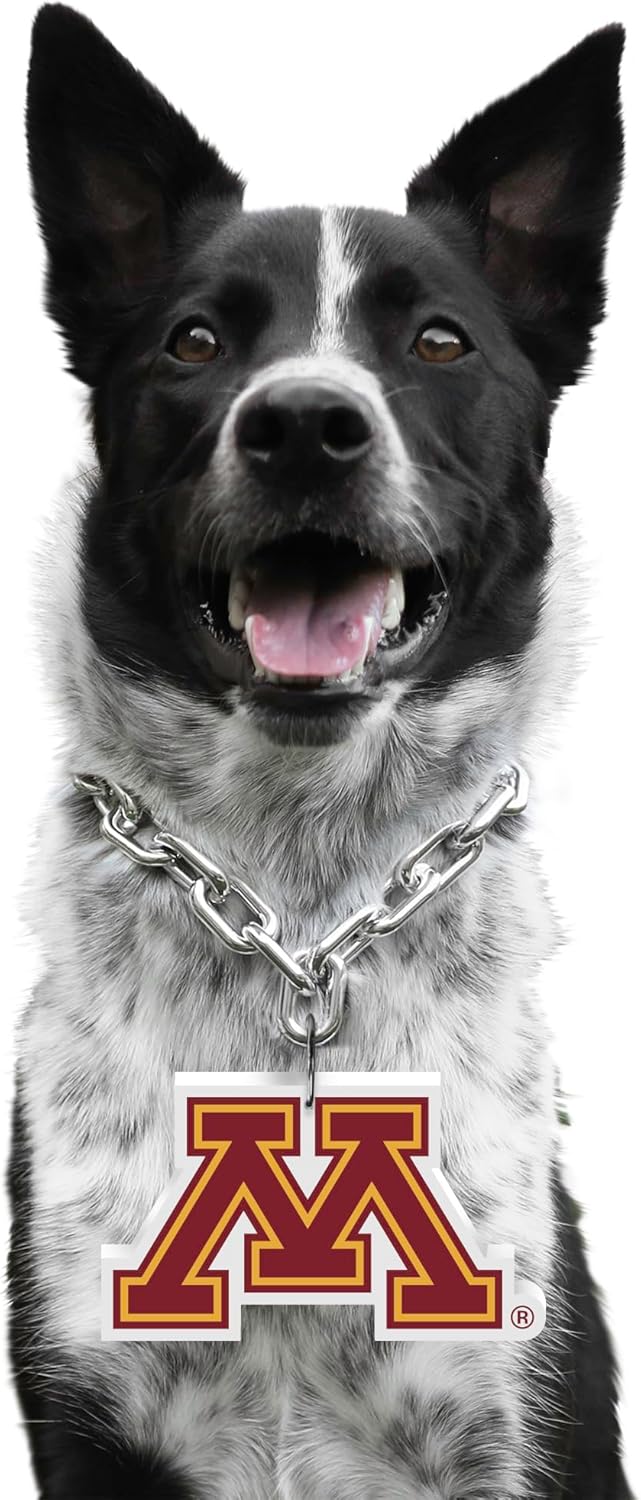 Littlearth NCAA Pet Fan Chain