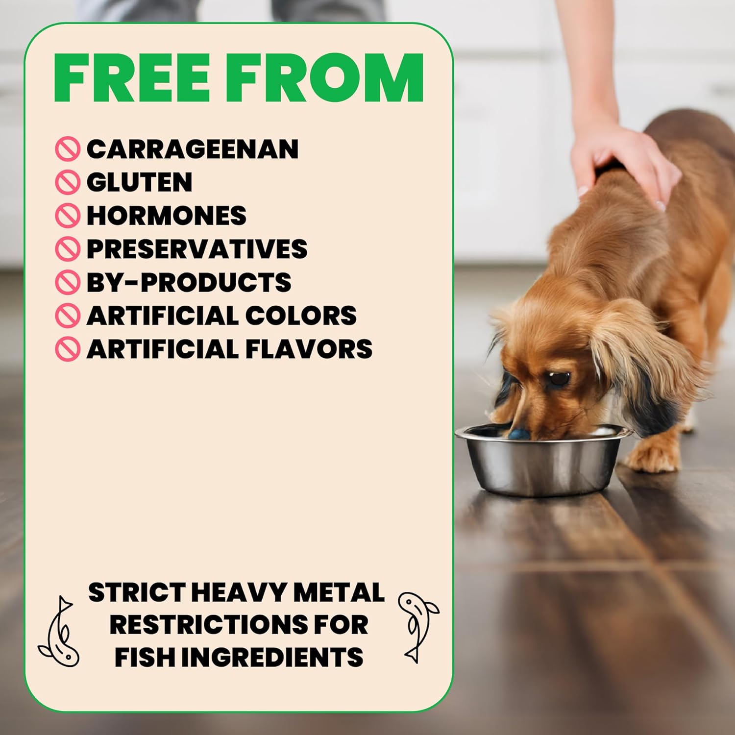 almo nature HQS Natural Wet Dog Food Chicken with Beef Entree, Grain Free, Additive Free, Low Fat, GMO Free, 5.5oz Pack of 12