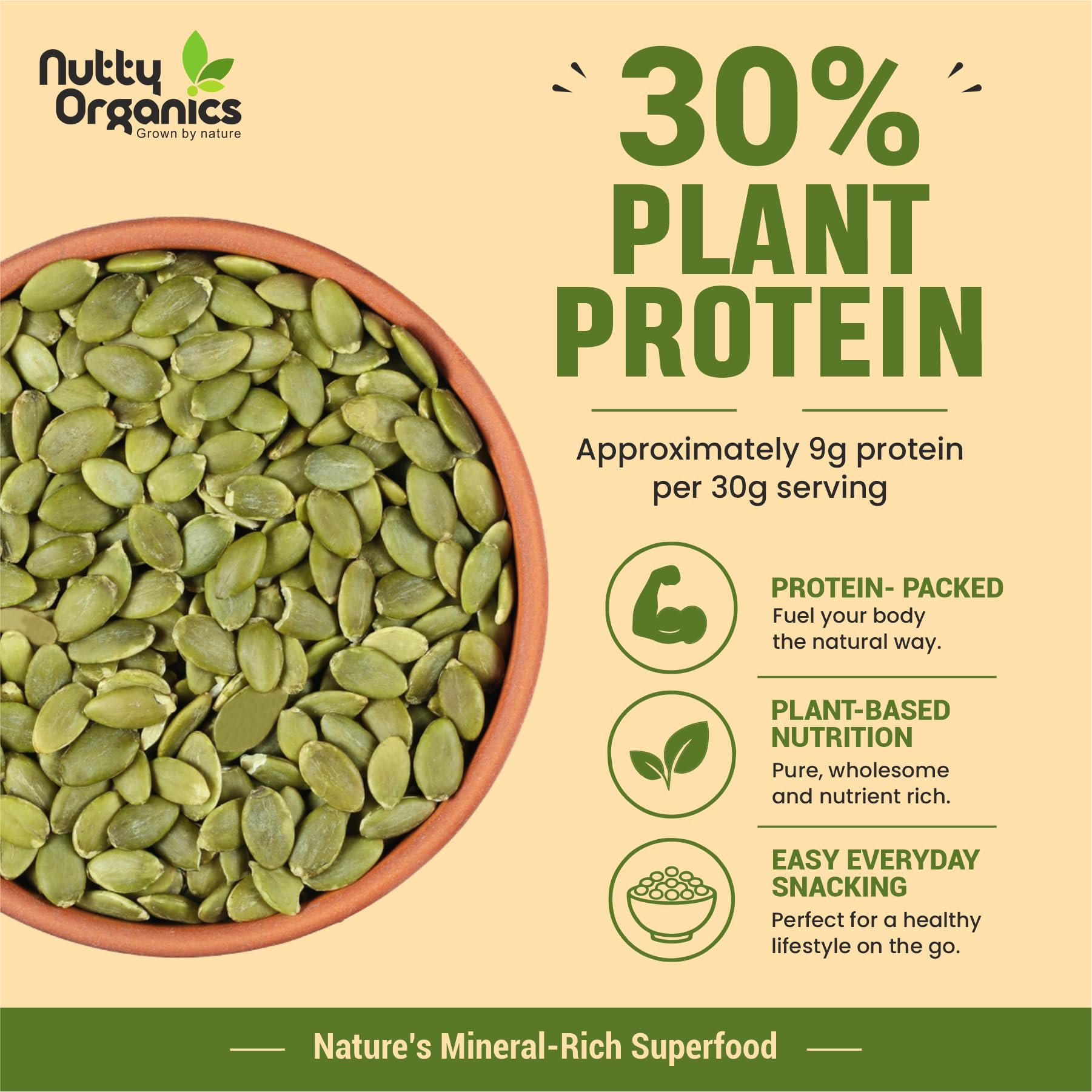 NUTTY ORGANICS Natural Pumpkin Seeds 200GM | Raw Pumpkin Seeds for Eating- Immunity Booster and Protein Rich Seeds | Healthy Diet Snacks | Weight Management 3