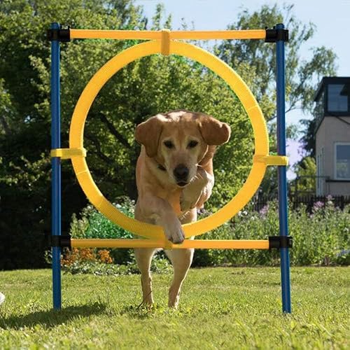 Miniatura 2 de PAWISE Pet Dogs Outdoor Games Agility Exercise Training Equipment Pet Training