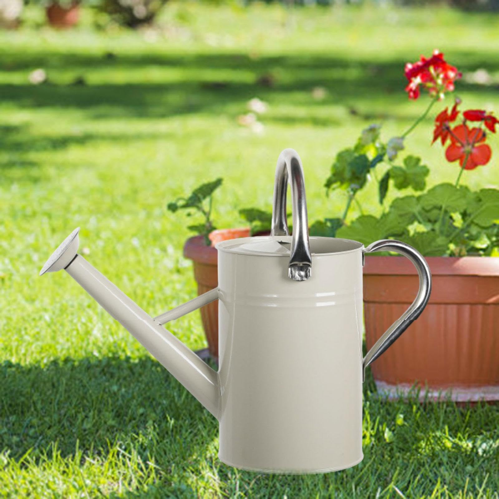 Baoblaze 5L Gießkanne für Pflanzen, Gartengießkanne mit Abnehmbarem, Pflanzengießkanne mit Großer Griff aus Edelstahl, Großem Fassungsvermögen, Feiner Sprüher, für Zimmer- und Außenpflanzen, Weiß