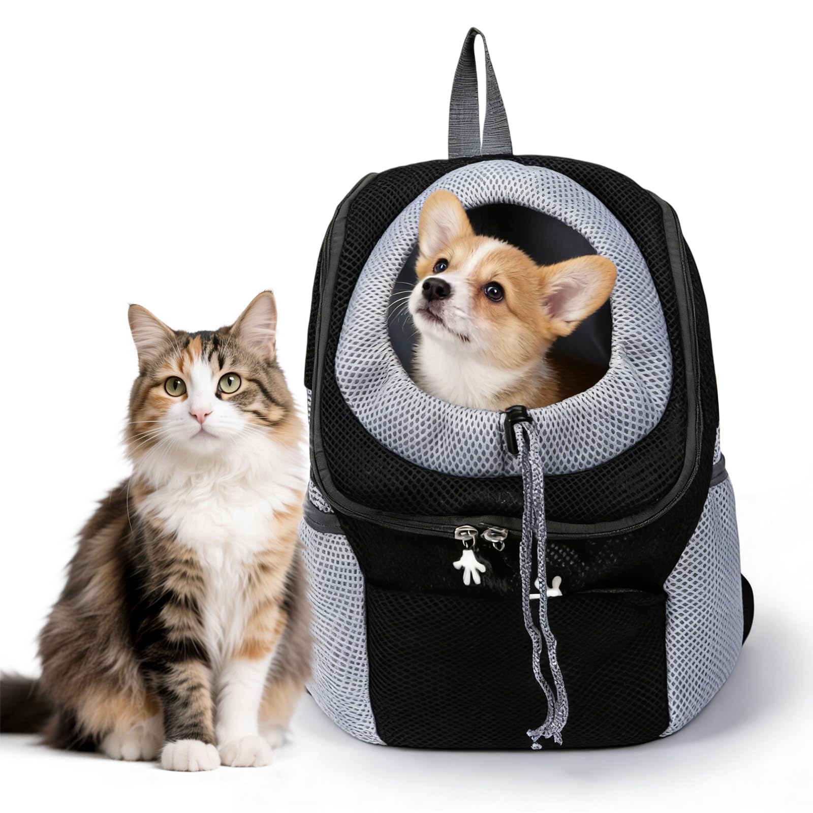 Mochila transportadora para perros: 34 x 30 x 16 cm, color negro, plegable, mochila para mascotas para perros pequeños y gatos, mochila para mascotas de 1 a 5 kg, bolsa para cachorros