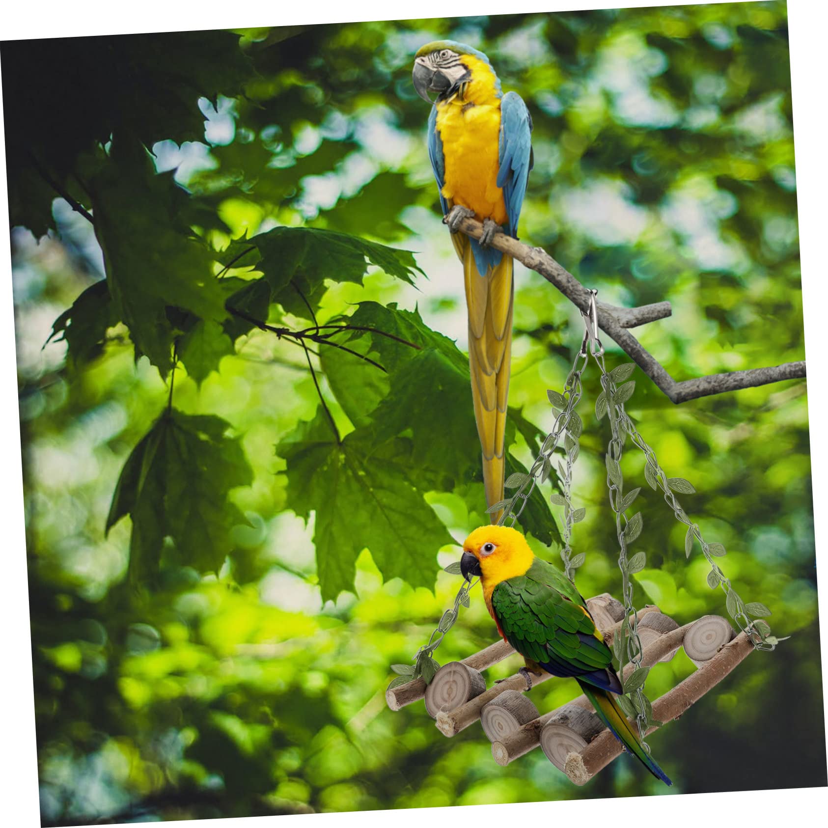 BESPORTBLE 3stücke Pet Bird Cage Toy Kletterleiter Und Schaukel Für Papageien Hängendes Spielzeug Aktivität Und Spaß Für Wellensittiche Und Ähnliche Vögel