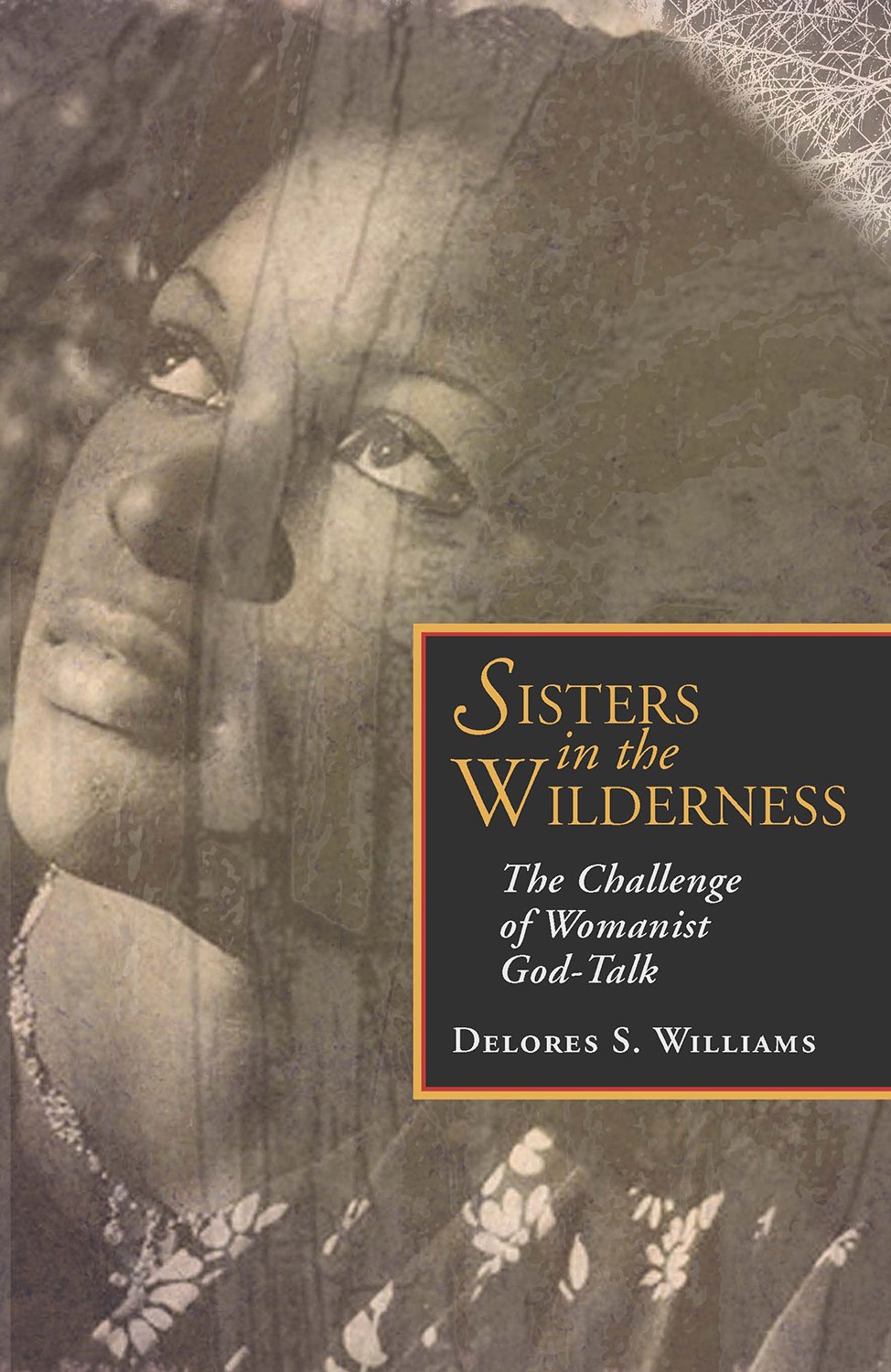 Sisters in the Wilderness: The Challenge of Womanist God-Talk