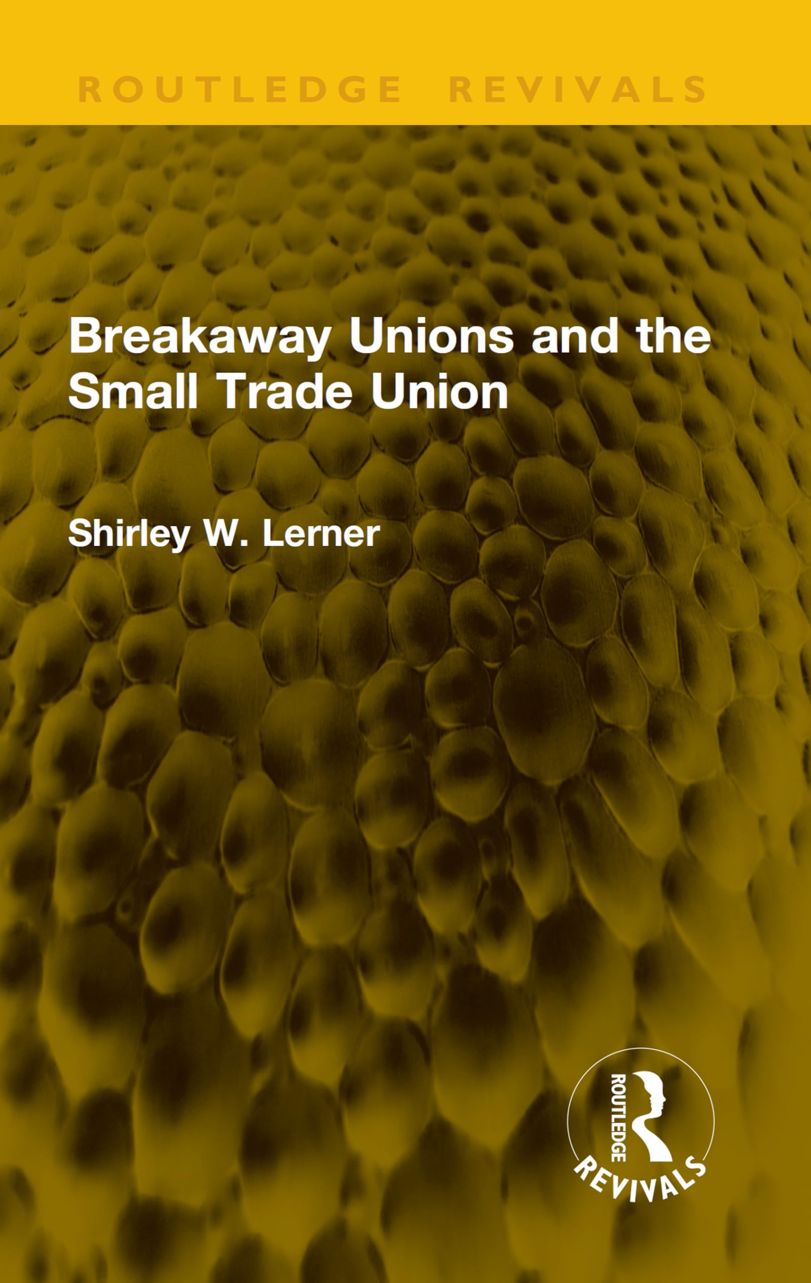 Breakaway Unions and the Small Trade Union (Routledge Revivals) (English Edition)