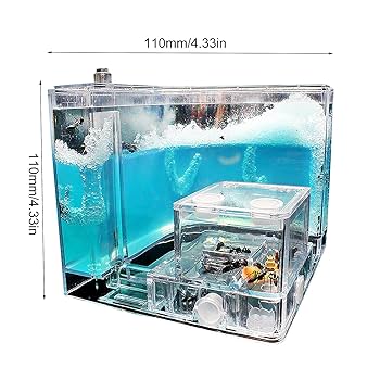 アリの巣観察キット(完成) Amazon.co.jp: アリ飼育キット アリの巣観察キット アリ 自由