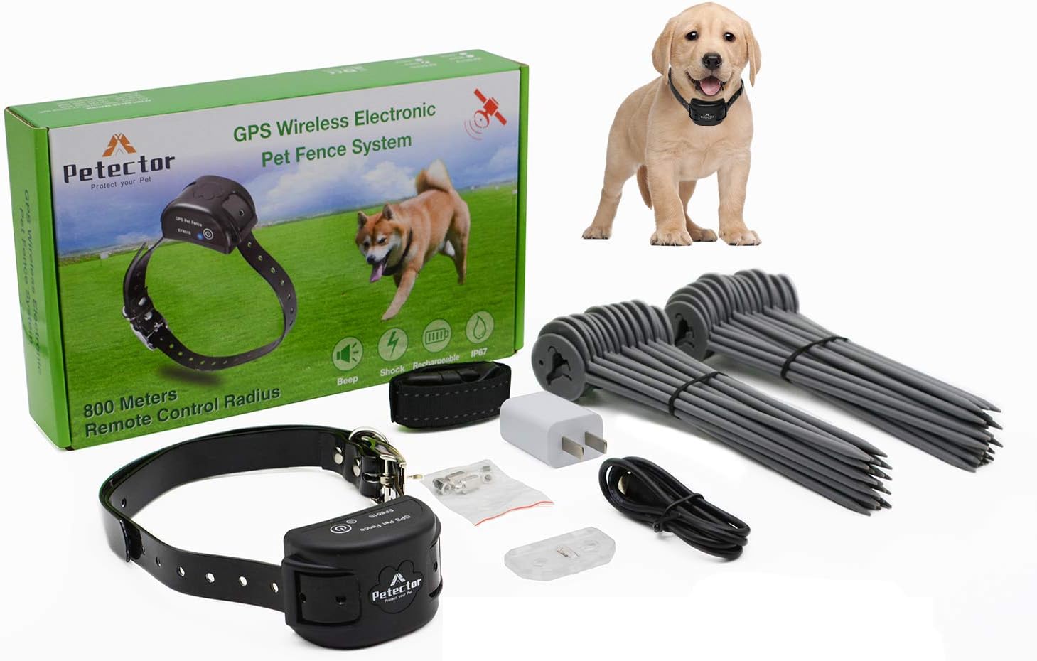 wireless electric dog fence