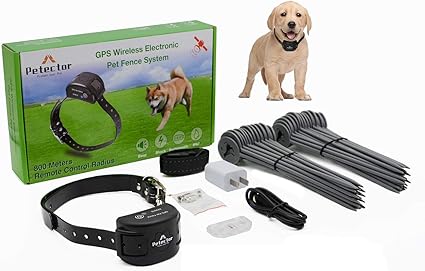 wireless electronic pet fence system