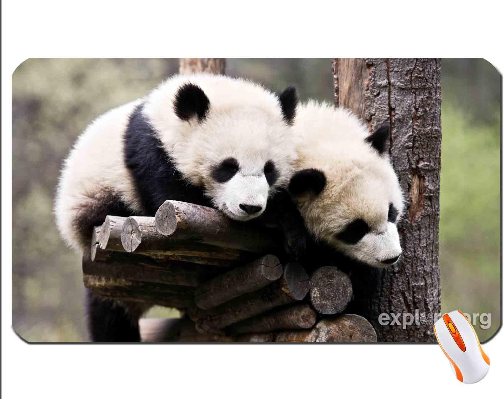 Ai que sono! wallpaper mouse pad super big mousepad Dimensions: 23.6 x 13.8 x 0.2inches(60x35x0.2cm)