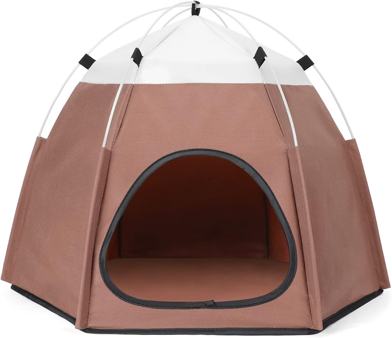 dog beach tent