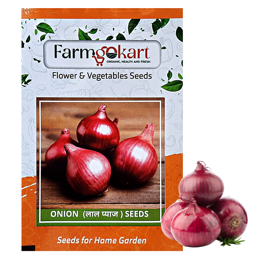 FARMGO 10 Gms - RED ONION SEEDS, Vegetable Seeds for Home Gardening, Farming, Hydroponics and Poly Houses (B0BX6RKD65) Amazon Price History, Amazon Price Tracker