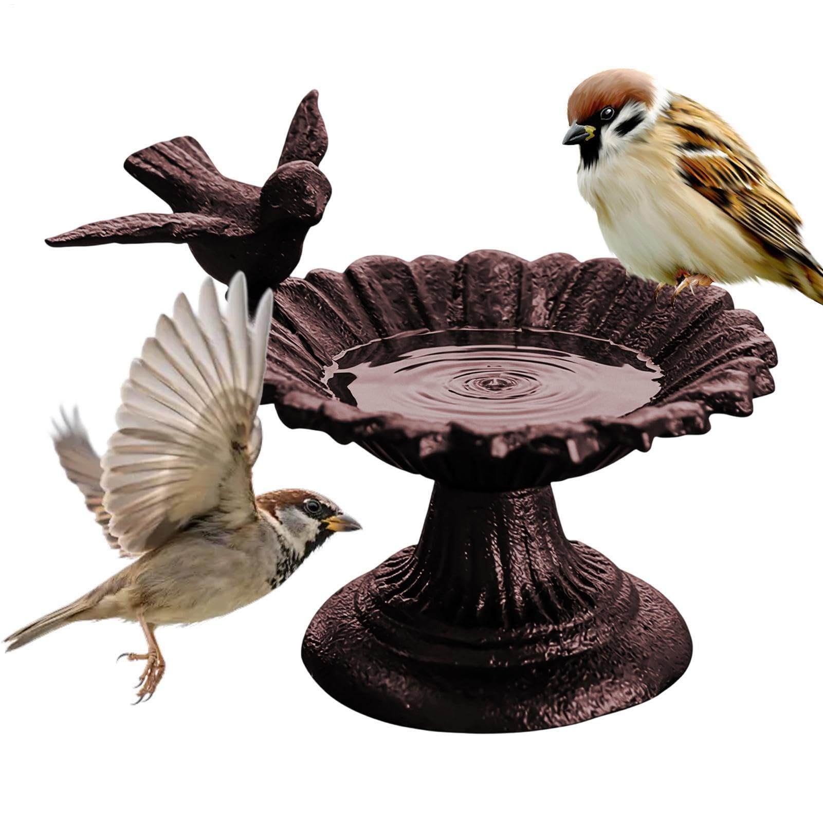 per Uccelli Decorativa Mangiatoia per Uccelli Decorazione