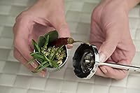 Vista 4 de I Genietti - Infusor de especias