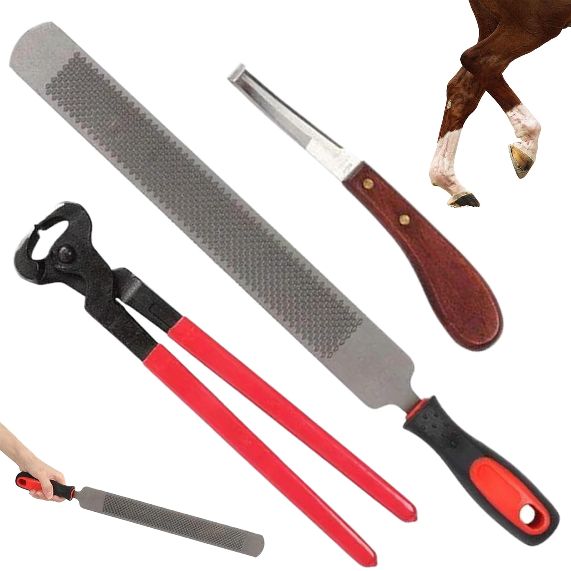 3PCS/Set Hoof Knife for Horses,Farrier Tools 14 inch Professional Steel Hoof Knife, Goat Hoof Trimmers with Plastic Handle, Reusable Horse Hoof Trimming Tools-image-29
