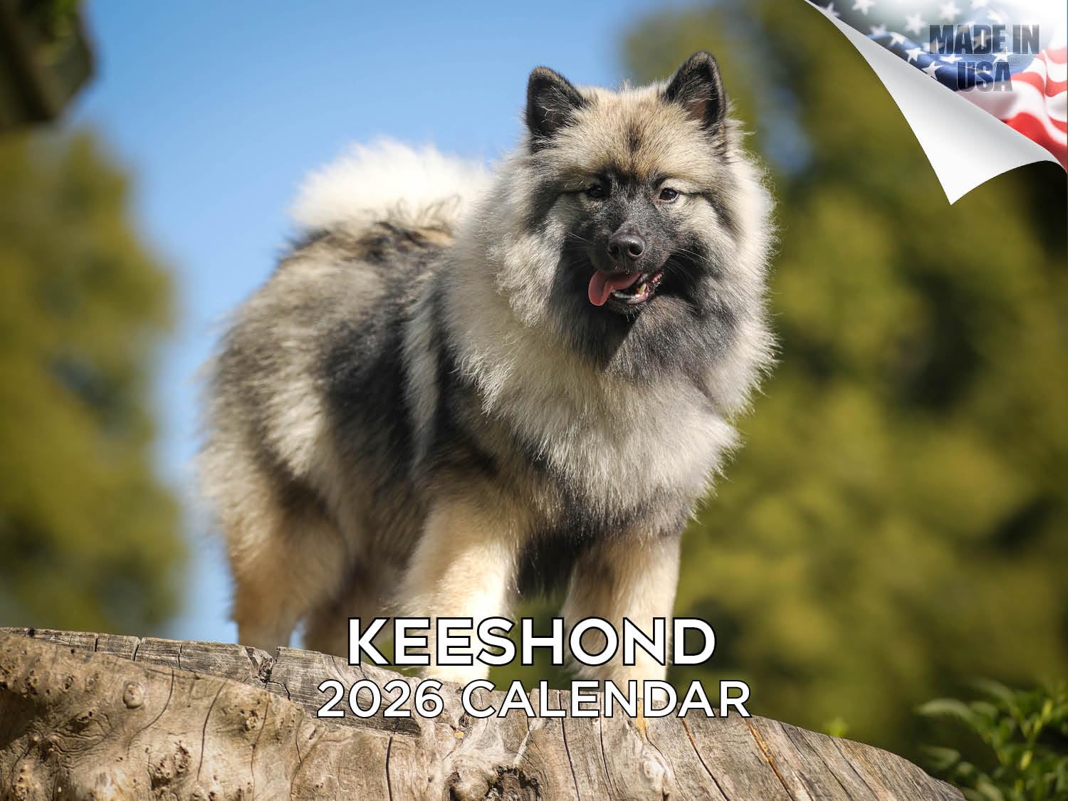 Kalendarz Keeshond 2024 2025 - miesięczny kalendarz ścienny rasy psów - 30 x 45 cm otwarty - gruby papier bez przebarwień - prezent - akademicki planer nauczyciela kalendarz organizowanie i planowanie