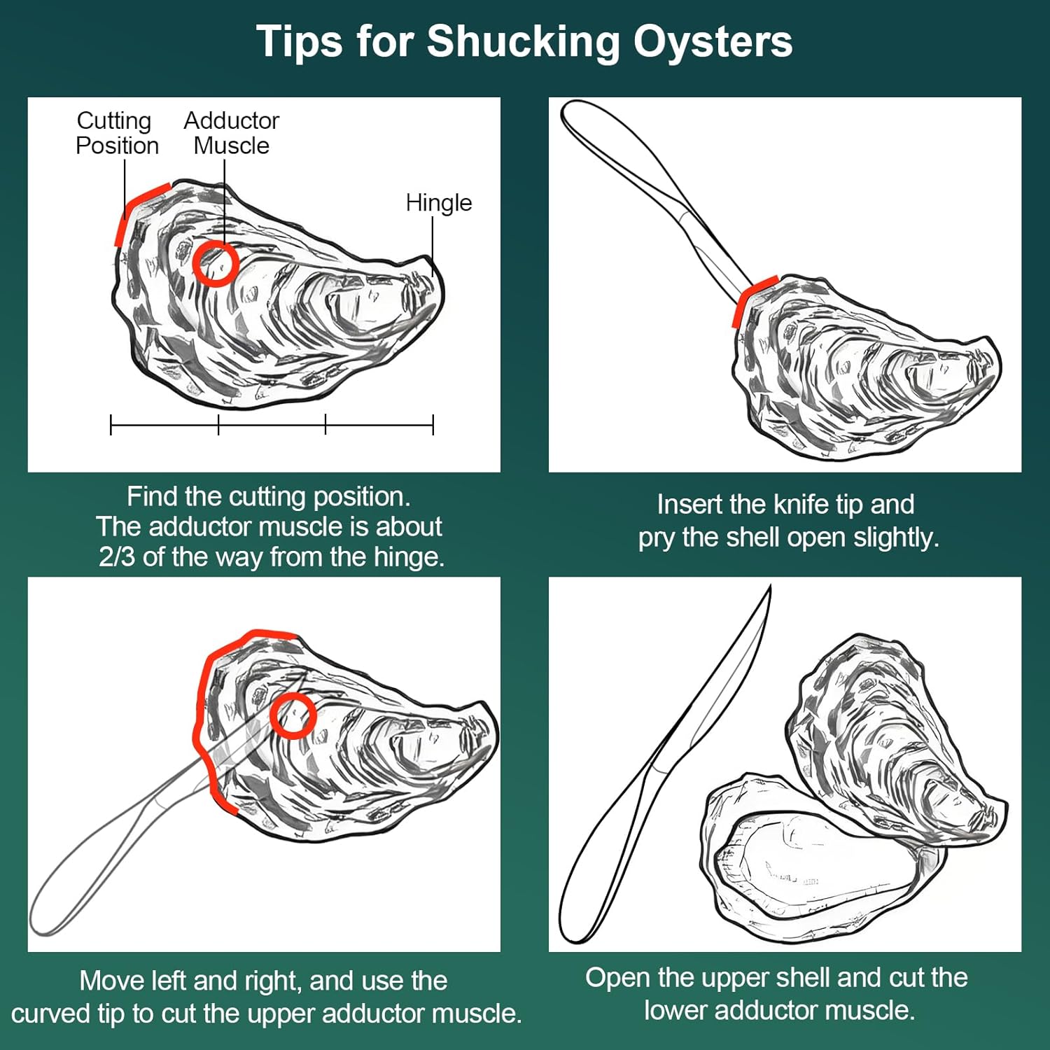 2 Pack Oyster Knife Shucker Set, Premium Oyster Clam Shucking Knife Opener Tool for Shellfish, Full Stainless Steel Curved Tip Blade Ergonomic Non-Slip Handle