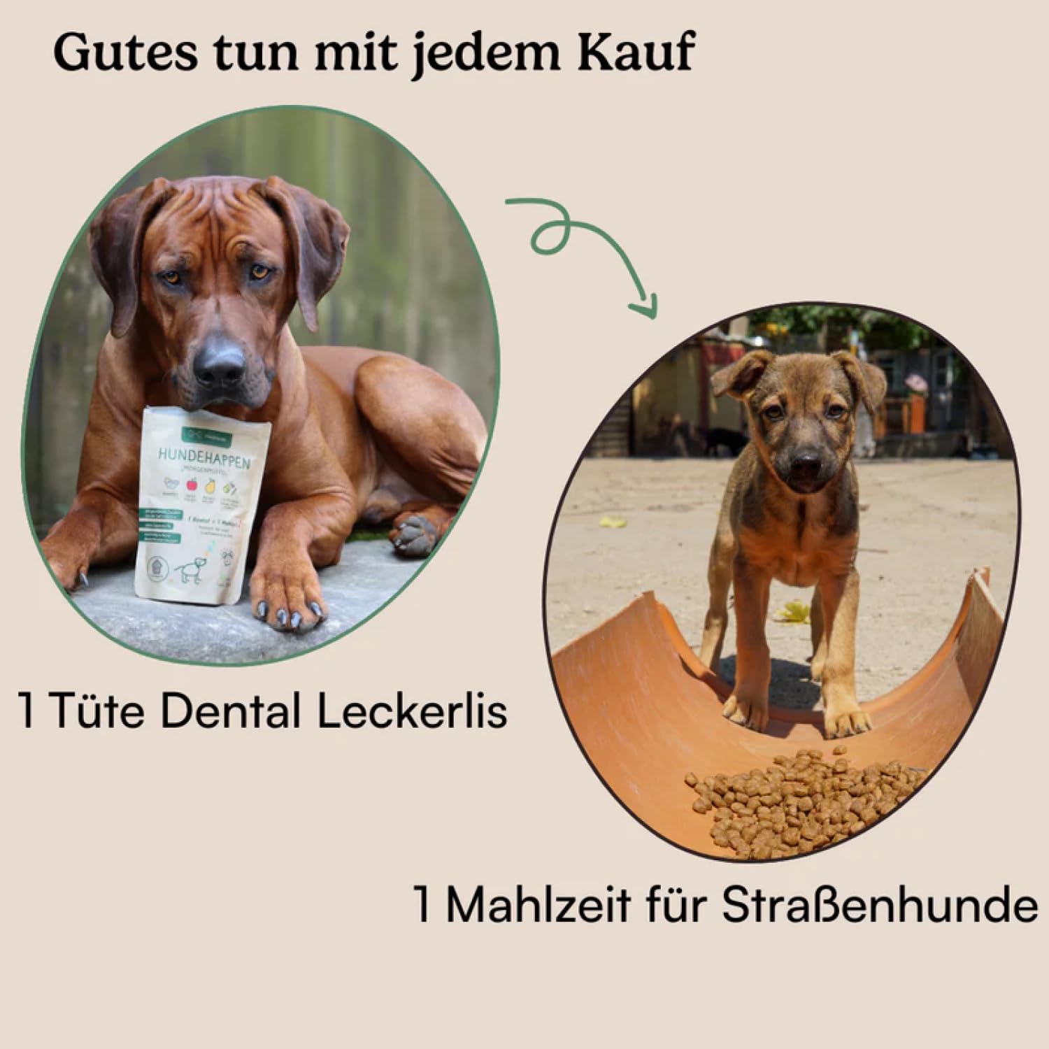 Hunderunde - Hundesnack Morgenmuffel für einen Guten Start in den Morgen - Hundeleckerlis mit Vitaminen, 39 Ballaststoffen & Kohlenhydraten - 100% hypoallergen, gut verträglich & vegan (9X 125g)