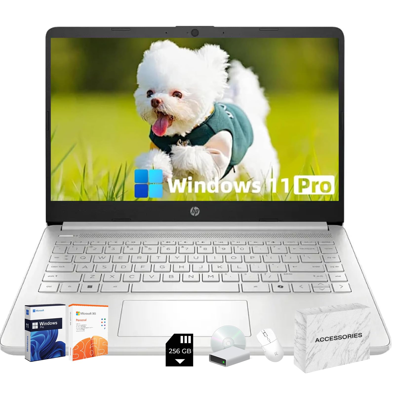 Amazon.com: HP 2025 New Student Business Laptop, Intel N150