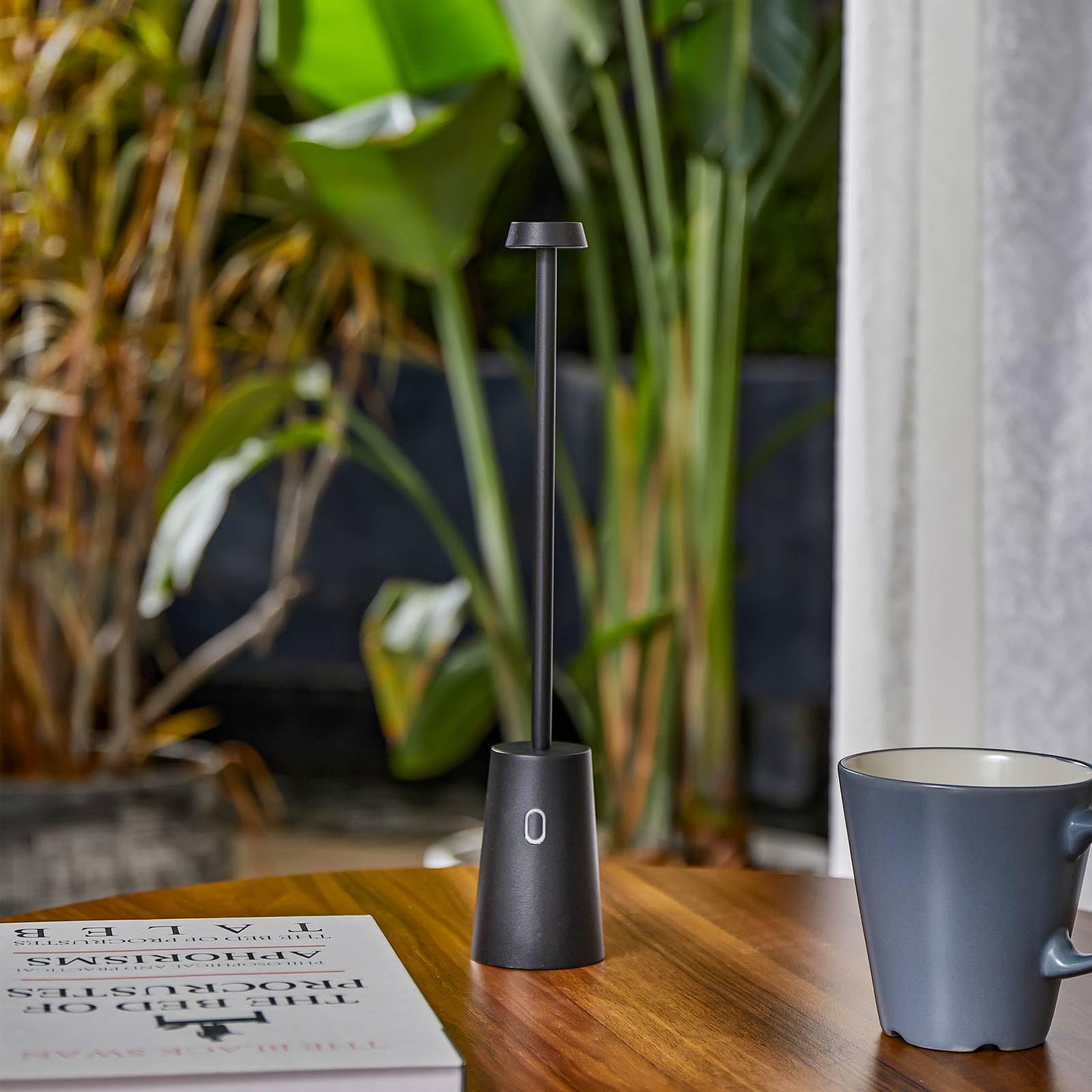 Lindby LED Luminaire de terrasse Noelani à intensité variable (Moderne) en Noir (1 lampe,à)