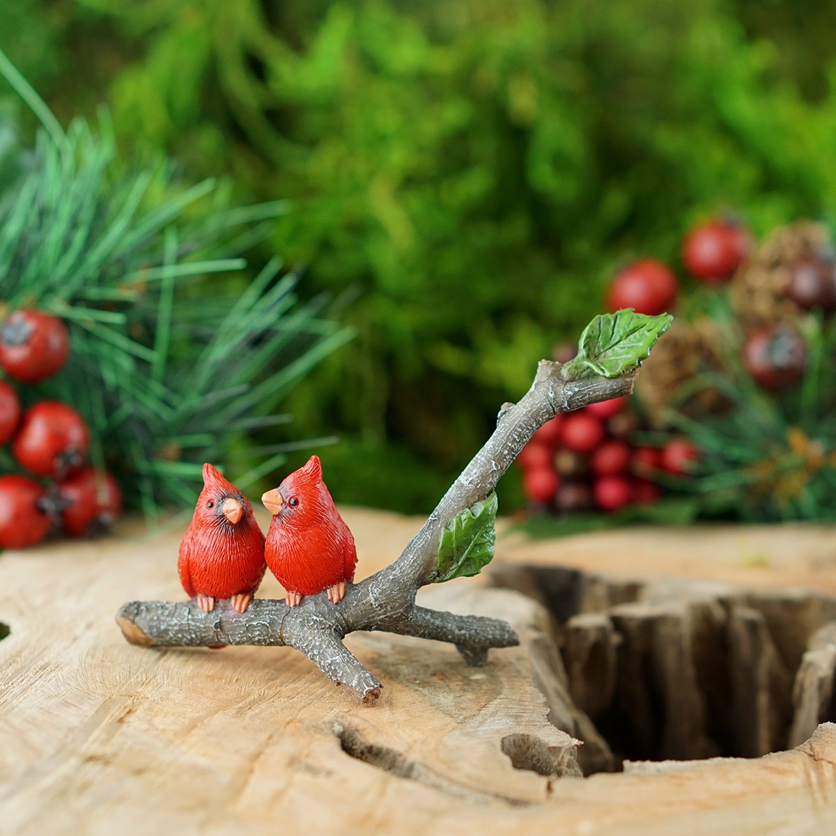 Amazon.com: Top Collection Miniature Fairy Garden and Terrarium