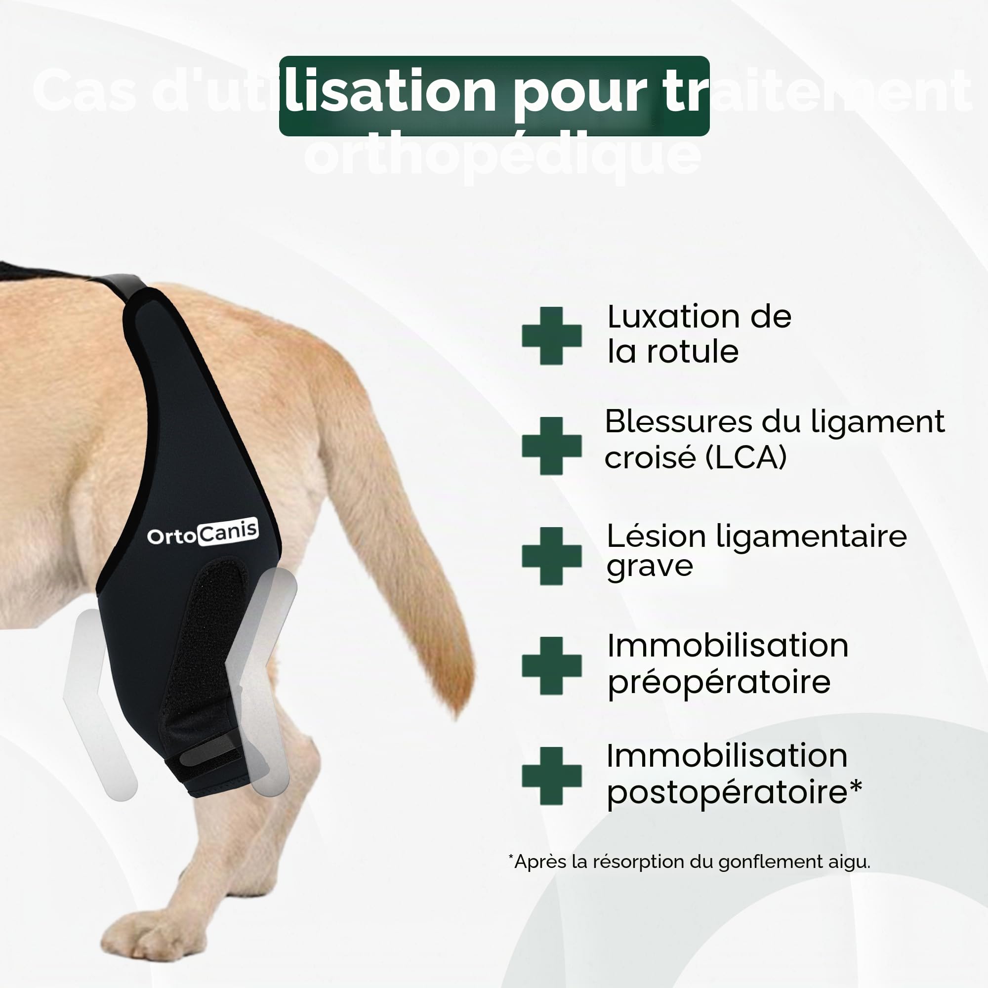Ortocanis - Attelle Chien - Immobilisateur Genou pour Blessure - Rupture Ligament - Luxation Rotule - Patte Gauche - Taille L