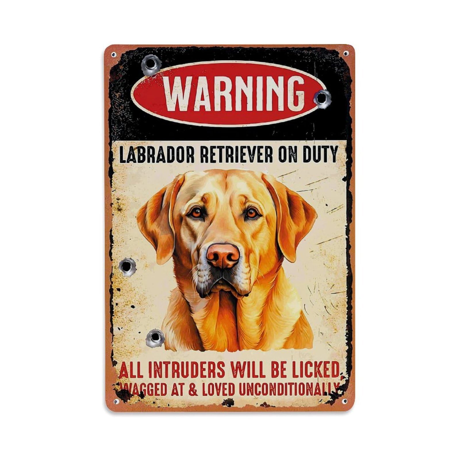 Jdfenggu Vintage Warning Labrador Retriever On Duty Retro Metal Tin Sign, Decor Art Poster For Bar, Home, Man Cave, Kitchen, Laundry Room Gift 8X12inch